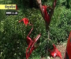 একইসঙ্গে উলুবেড়িয়া লোকসভা কেন্দ্রে ভোটগ্রহণ ও উপ নির্বাচন, সিপিএম প্রার্থী সাবিরউদ্দিন মোল্লার ক্যাম্প অফিস ভেঙে দেওয়ার অভিযোগ তৃণমূলের বিরুদ্ধে