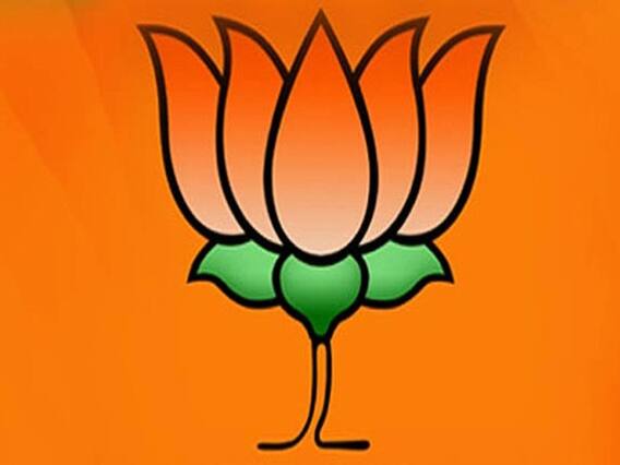 ગુજરાતમાં રાજ્યસભાની બંને બેઠક જીતવા શું છે ભાજપનો એક્શન પ્લાન? જુઓ વીડિયો