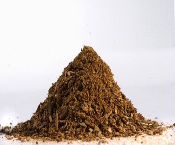 Health Tips | बहुगुणी चंदनाचे शरीराला अनेक फायदे | आरोग्य | घे भरारी | ABP Majha