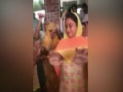 Harsimrat Kaur Badal celebrates win from Bathinda