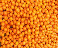 Nagpur Drought | ऑरेंज सिटीला यंदा दुष्काळाचं ग्रहण | नागपूर | स्पेशल रिपोर्ट | ABP Majha