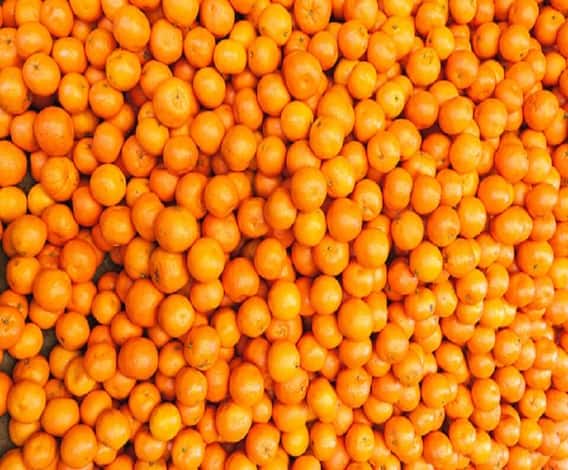 Nagpur Drought | ऑरेंज सिटीला यंदा दुष्काळाचं ग्रहण | नागपूर | स्पेशल रिपोर्ट | ABP Majha