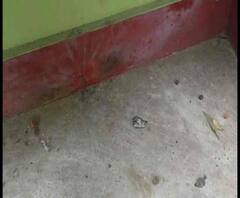 ব্যারাকপুরের পলতায় তৃণমূল কর্মীর বাড়ি লক্ষ্য করে বোমাবাজি, অভিযোগ বিজেপির বিরুদ্ধে