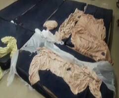মুর্শিদাবাদ মেডিক্যাল কলেজে জুনিয়র ডাক্তারদের আন্দোলন চলছে তবে সিনিয়ররা চালু রেখেছেন জরুরি পরিষেবা