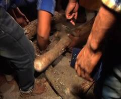 সন্দেশখালিকাণ্ড: ধস্তাধস্তির মধ্যেই নিহত কর্মীদের দেহ নিয়ে কলকাতার উদ্দেশে রওনা বিজেপি-র