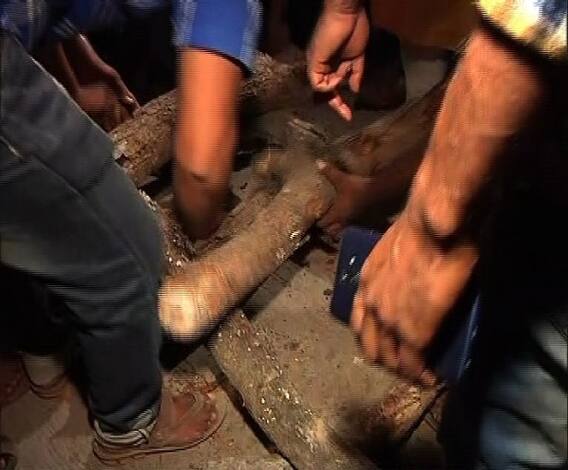 সন্দেশখালিকাণ্ড: ধস্তাধস্তির মধ্যেই নিহত কর্মীদের দেহ নিয়ে কলকাতার উদ্দেশে রওনা বিজেপি-র