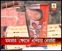 নদিয়ায় দলের খারাপ ফল নিয়ে তৃণমূল নেত্রীর পর্যালোচনা বৈঠক, মমতার সমালোচনার মুখে নেতা-মন্ত্রীরা