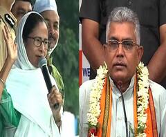 হামসে যো টকরায়েগা ও চুরচুর হো জায়েগা, হুঙ্কার মমতার, ওনার দলই চুরচুর হয়ে যাবে, কটাক্ষ দিলীপের