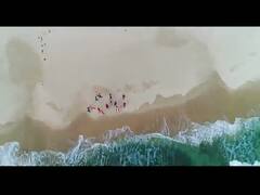 'Layenge Cup, dekhega Sara Zamana', Bharat Army's WC tribute song for India