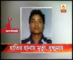 জলপাইগুড়ির চা বাগানে হাতির হানায় শ্রমিকের মৃত্যু, আহত আরও এক