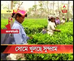 সোমবার থেকে ফের খুলছে জলপাইগুড়ির সুন্দরম অ্যাগ্রো প্রোডাকশন লিমিটেড
