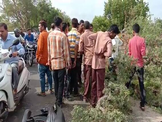 વડોદરાઃ વાઘોડિયામાં અચાનક વૃક્ષ ધરાશાયી થતાં યુવકનું મોત, જુઓ વીડિયો