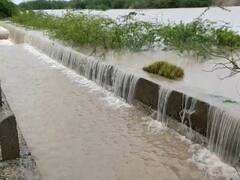 જામનગરઃ જોડિયાના ચેકડેમ થયા ઓવરફ્લો, જુઓ વીડિયો