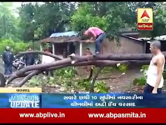 વલસાડમાં ઝાડ અને વીજપોલ થયા ધરાશાયી, જુઓ વીડિયો