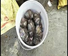 বিজেপি কর্মী আক্রান্ত হওয়ার পর দাঁতনের গ্রামে ১৮টি তাজা বোমা উদ্ধার