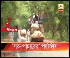 বাংলাদেশে পাচার হওয়ার আগেই বীরভূমের ইলামবাজার থেকে উদ্ধার ২৫টি গরু, তিন পাচারকারীকে গ্রেফতার