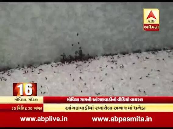 રાજકોટઃ મોવિયા ગામની આંગણવાડીના અનાજમાં ધનેડા, વીડિયો વાયરલ