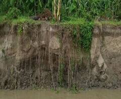 Reporter Stories: শান্তিপুর ব্লকের বিস্তীর্ণ এলাকায় ভাগীরথী নদীতে ভাঙন, আতঙ্কে স্থানীয় বাসিন্দারা