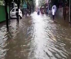 Reporter Stories: গতকাল রাত থেকে বৃষ্টি, জলমগ্ন কোচবিহারের বিভিন্ন এলাকা