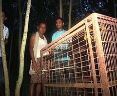 Reporter Stories: ঝাড়গ্রামের সাঁকরাইলে অজানা প্রাণীর পায়ের ছাপকে কেন্দ্র করে বাঘের আতঙ্ক, পরিদর্শনে বন-আধিকারিক, পাতা হল খাঁচা