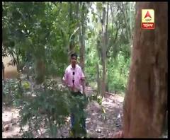 Reporter Stories: পশ্চিম মেদিনীপুরে হাতির হানায় মৃত ১, গ্রামবাসীদের অবরোধ বিক্ষোভ