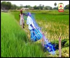 নারায়ণগড়ে বিছিয়ে রাখা তারে বিদ্যুত্‍স্পৃষ্ট হয়ে মৃত্যু এক চাষির, জখম ছেলে