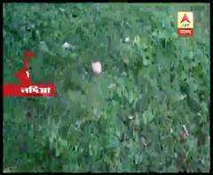 Reporter Stories: কল্যাণী মহাবিদ্যালয়ে এবিভিপি ও তৃণমূল ছাত্র পরিষদের মধ্যে সংঘর্ষ, বোমাবাজি