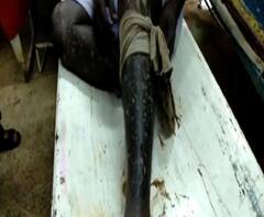 দাঁতনে পতাকা লাগানো নিয়ে বিবাদ, তৃণমূলের বিরুদ্ধে বিজেপি কর্মীদের মারধরের অভিযোগ