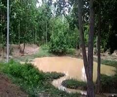 ঝাড়গ্রামের সাঁকরাইল ব্লকের ডাহি গ্রামে অজানা প্রাণীর পায়ের ছাপকে কেন্দ্র করে বাঘের আতঙ্ক