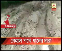 উত্তর দিনাজপুর: বেহাল সড়ক, প্রশাসনকে জানিয়ে কাজ হয়নি, রাস্তায় ধানের চারা পুঁতে অভিনব প্রতিবাদ