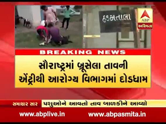 સૌરાષ્ટ્રમાં બ્રૂસેલા તાવની એન્ટ્રીથી આરોગ્ય વિભાગમાં દોડધામ, જુઓ વીડિયો 