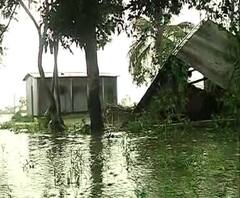 জলমগ্ন জলপাইগুড়ি, তিস্তার বাঁধে আশ্রয় নিয়েছেন অসহায় মানুষ