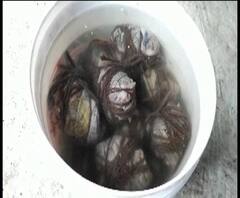 দাঁতনে ১৮টি তাজা বোমা উদ্ধার, নিষ্ক্রিয় করল বম্ব ডিজপোজাল স্কোয়াড