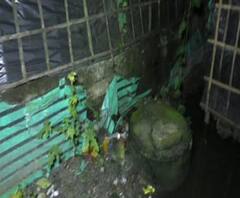 আলিপুরদুয়ারে ছেলেধরা সন্দেহে প্রৌঢ়কে গণপিটুনি