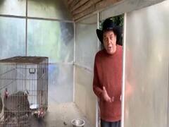 बॉलीवुड ब्लॉकबस्टर में देखिए धर्मेंद्र ने हेमा मालिनी से क्यों मांगी माफी