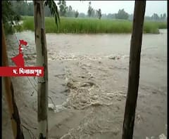 গঙ্গারামপুরে পুনর্ভবা নদী বাঁধে ভাঙন, ইতিমধ্যেই জলমগ্ন নিচু এলাকাগুলি