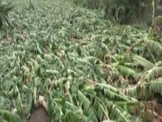 Red Alert Issued In Rajasthan's Pratapgarh After Heavy Rain Creates Havoc 