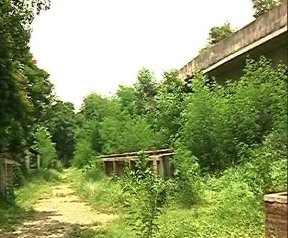 থানা থেকে হাসপাতালে নিয়ে যাওয়ার পথে গোরাবাজারে পুলিশের চোখে ধুলো দিয়ে পালাল দুই বন্দি