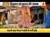 उत्तर बिहार के 7 जिलों में भीषण बाढ़, करीब 18 लाख लोग प्रभावित, देखिए ग्राउंड रिपोर्ट