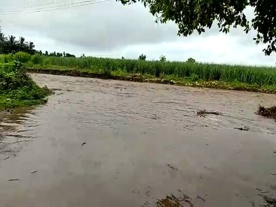 ગીર સોમનાથ જિલ્લામાં ધોધમાર વરસાદ, અનેક વિસ્તારોમાં ભરાયા પાણી, જુઓ વીડિયો