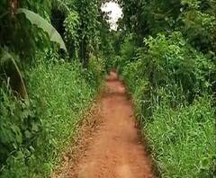 Reporter Stories: এসএসকেএমে মৃত্যু কোলাঘাট গণধর্ষণকাণ্ডের নির্যাতিতার