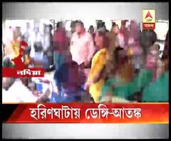 হরিণঘাটাতেও ছড়াচ্ছে ডেঙ্গি আতঙ্ক