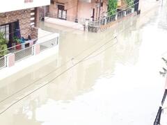 વડોદરાના નિઝામપુરામાં ભરાયા વરસાદી પાણી, સડક બની દરિયો, જુઓ વીડિયો