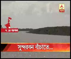 সুন্দরবনের বাস্তুতন্ত্র রক্ষার জন্য নতুন উদ্যোগ, ওয়ার্ল্ড ওয়াইল্ড লাইফ ফান্ড সহ একাধিক সংস্থা ও বন দফতরের যৌথ উদ্যোগে নেওয়া হল বিভিন্ন পদক্ষেপ