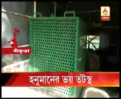 হনুমানের আতঙ্কে তটস্থ বাঁকুড়ার বেলিয়াতোড়ের ছান্দার গ্রাম, বাগে আনতে খাঁচা পেতেছে বন দফতর
