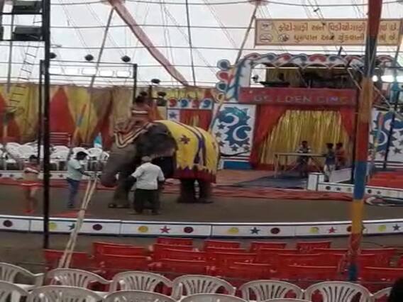 રાજકોટમાં ગોલ્ડન સર્કસ કેમ કરી દેવું પડ્યું બંધ? જુઓ વીડિયો