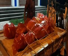 জুনপুটে দুই ছাত্রীর রহস্যমৃত্যু, পরিবারের দাবি আত্মহত্যা