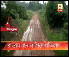 'বেহাল রাস্তা'! রাস্তায় ধানের চারা পুঁতে অভিনব প্রতিবাদ শান্তিনিকেতনে