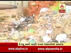 વડોદરા: વરસાદ અને પૂર બાદ પાણીજન્ય રોગમાં વધારો, જુઓ વીડિયો