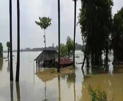 Reporter Stories: শিলাবতী নদীর উপর বাঁধ ভেঙে প্লাবিত পশ্চিম মেদিনীপুরের দাশপুরে বিস্তীর্ণ এলাকা